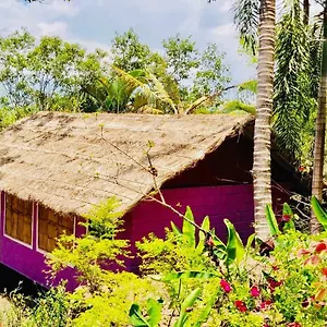 Vimokshaya Resorts Lodge